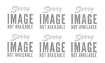Zebra Motorola BRKT-70662-01R AN440 AN480. Fixed Price $251.82.